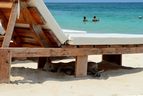 Playa Blanca - Bar - Cartagena 
