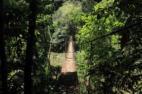 Puente - Rio Claro - Doradal